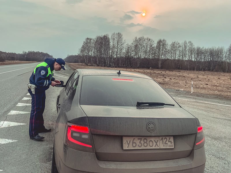 Госавтоинспекция обращает особое внимание водителей-родителей на необходимость использования детских удерживающих устройств в салоне автомобиля.