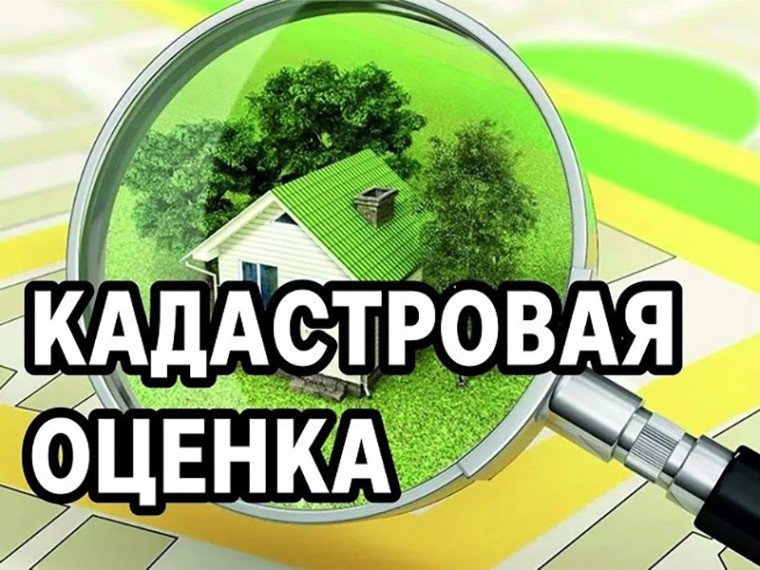 Проведение государственной кадастровой оценки. Проведение государственной кадастровой оценки.