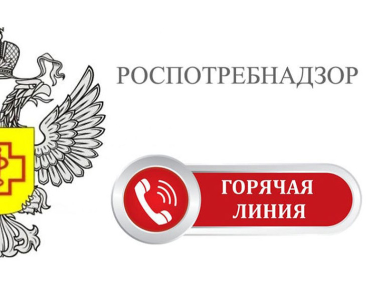 Организация тематического консультирования. Организация тематического консультирования.