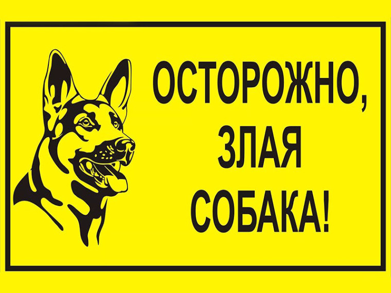 Собаки и почтальоны. Собаки и почтальоны.